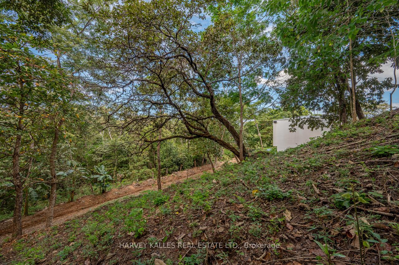 0 Puerto Viejo Condominio Lomas de Conchal, Casa 37 N/A