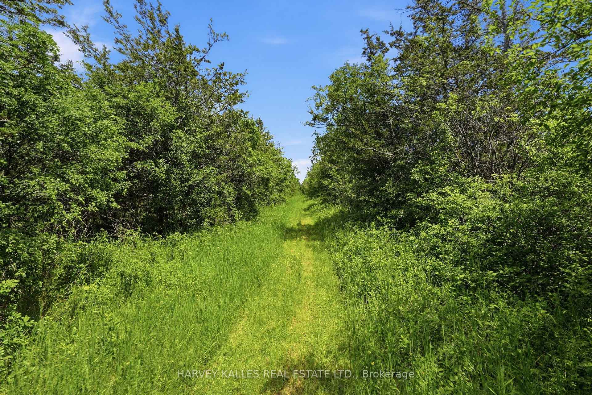 685 County 8 Road