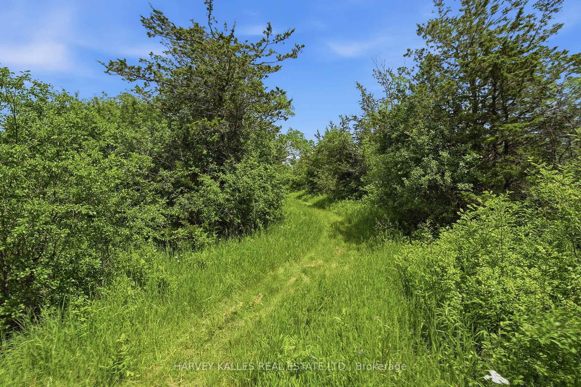 685 County 8 Road