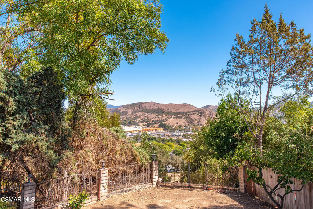 29315 Tree Hollow