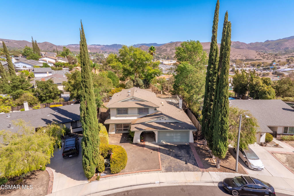 29315 Tree Hollow