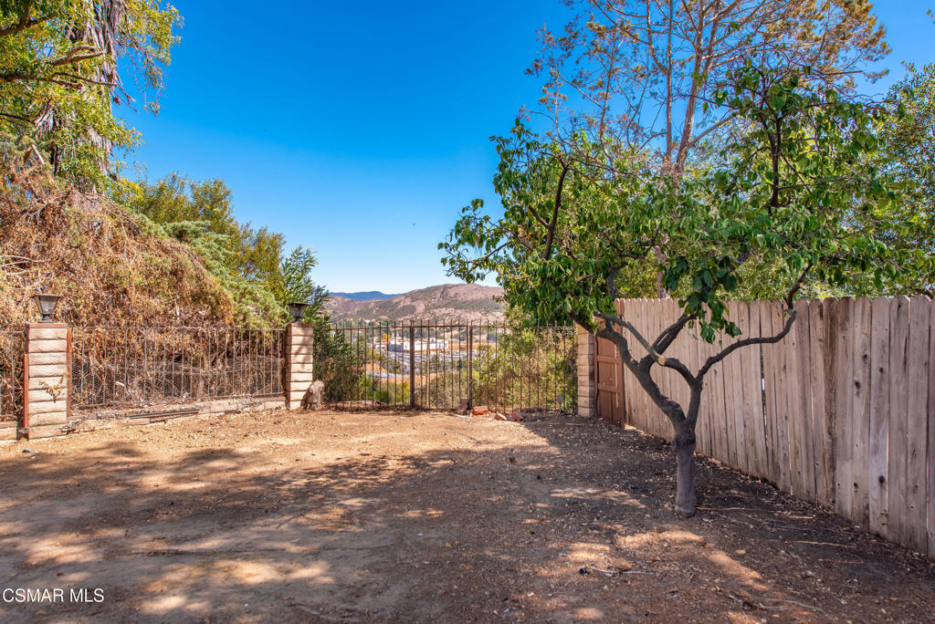 29315 Tree Hollow