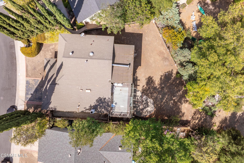 29315 Tree Hollow