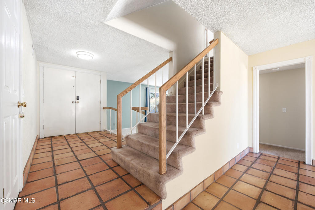 29315 Tree Hollow
