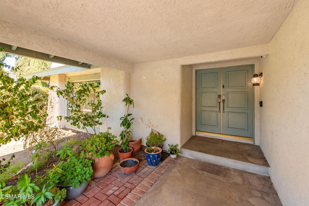 29315 Tree Hollow