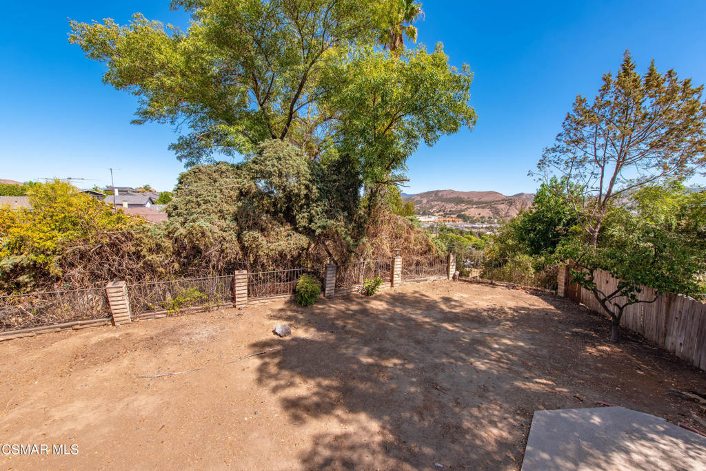 29315 Tree Hollow