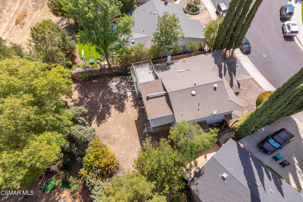 29315 Tree Hollow