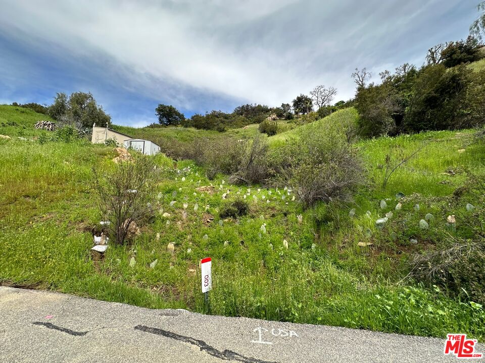 2750 Topanga Skyline Dr