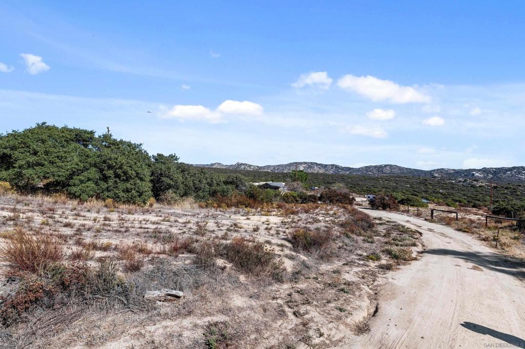 1558 Campo Truck Trl