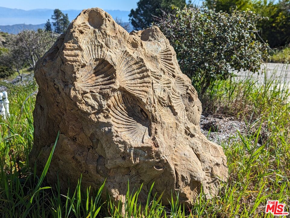 23224 Saddle Peak Rd