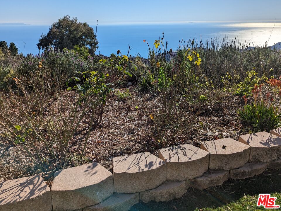 23224 Saddle Peak Rd