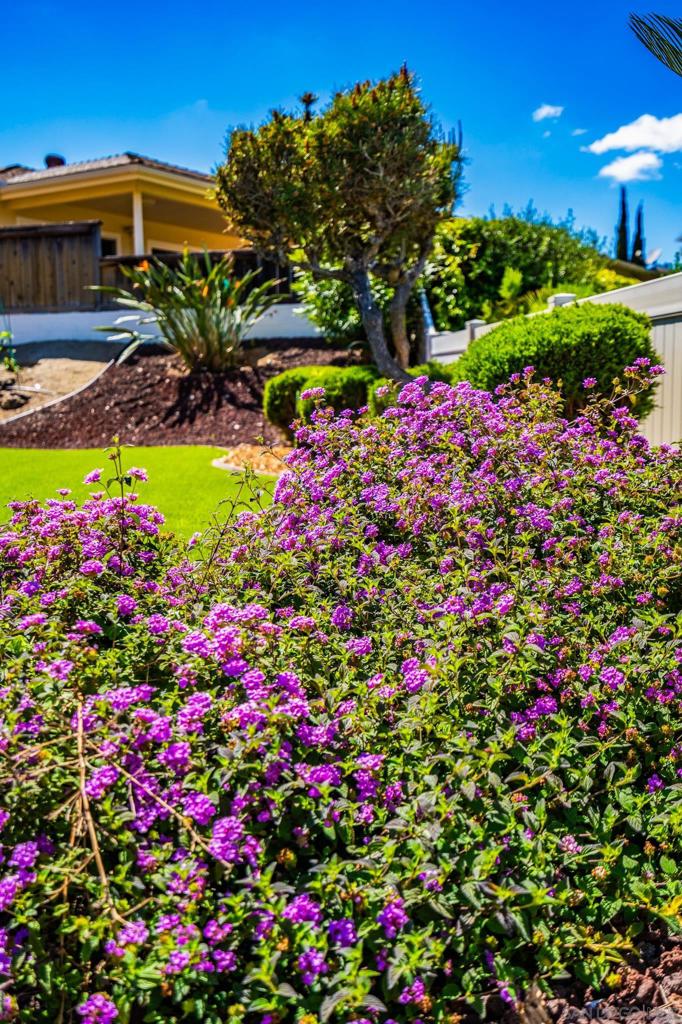 12196 San Tomas Place