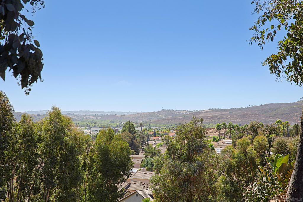 32036 Del Cielo Oeste 4D
