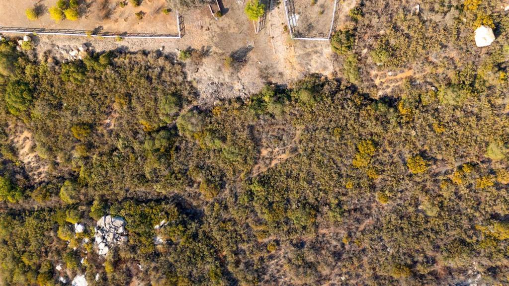 87 Presilla Dr