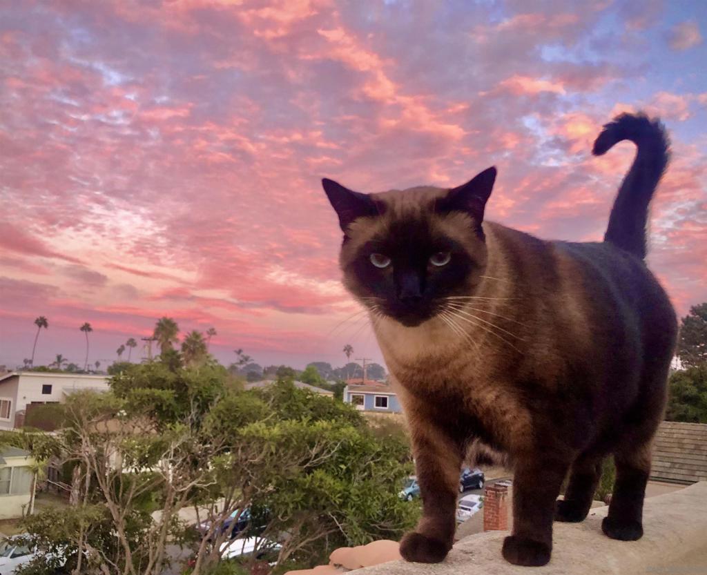 4685 Long Branch Ave