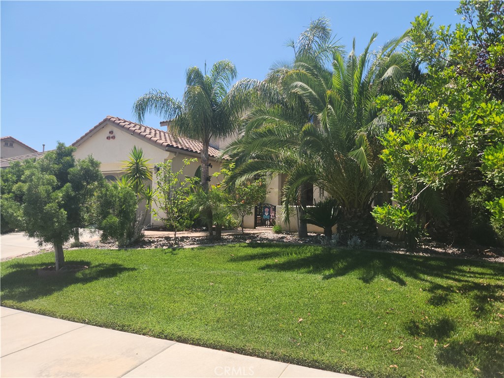 19745 Berrywood Drive