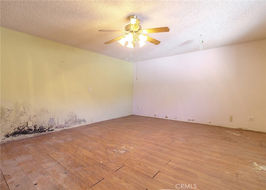 7464 Cardillo Trail