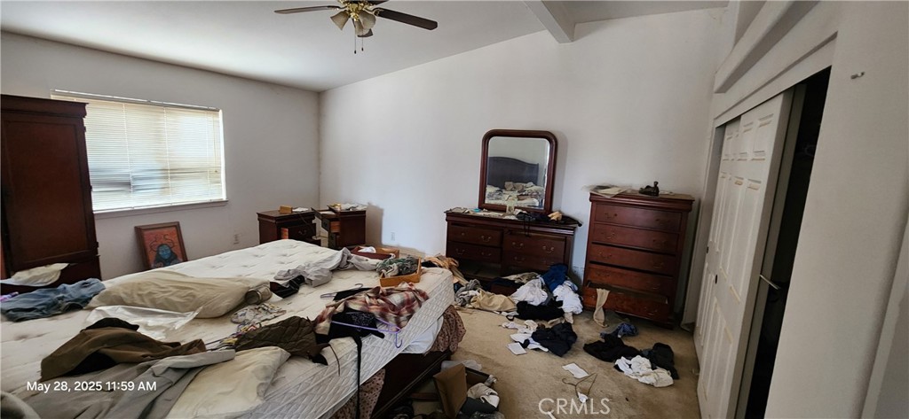 21573 Elmwood Street