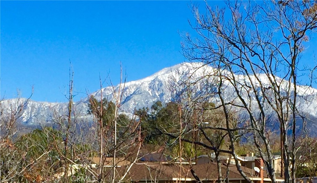 33562 Tahitian Place