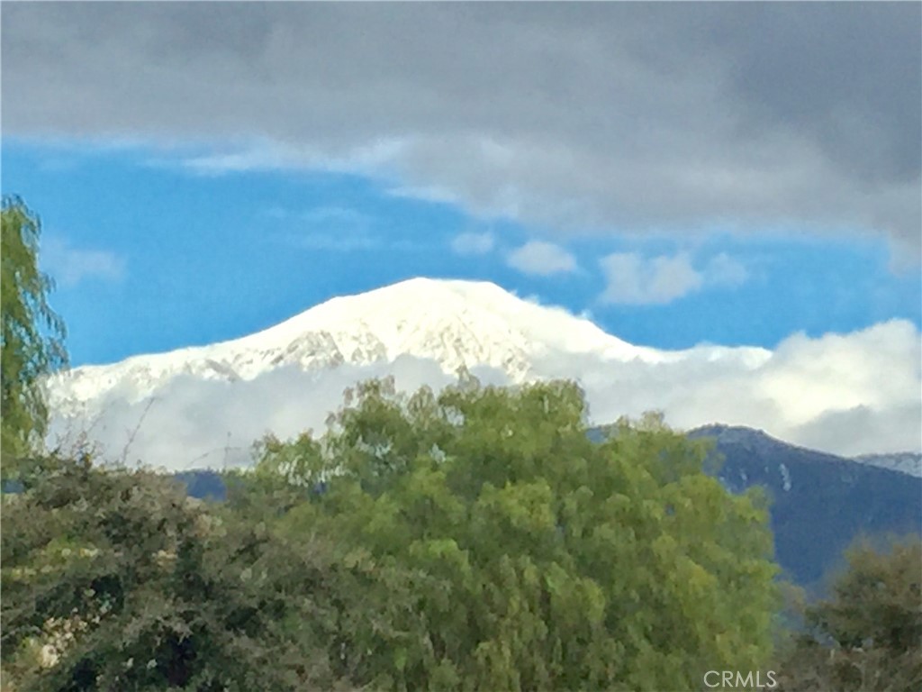 33562 Tahitian Place