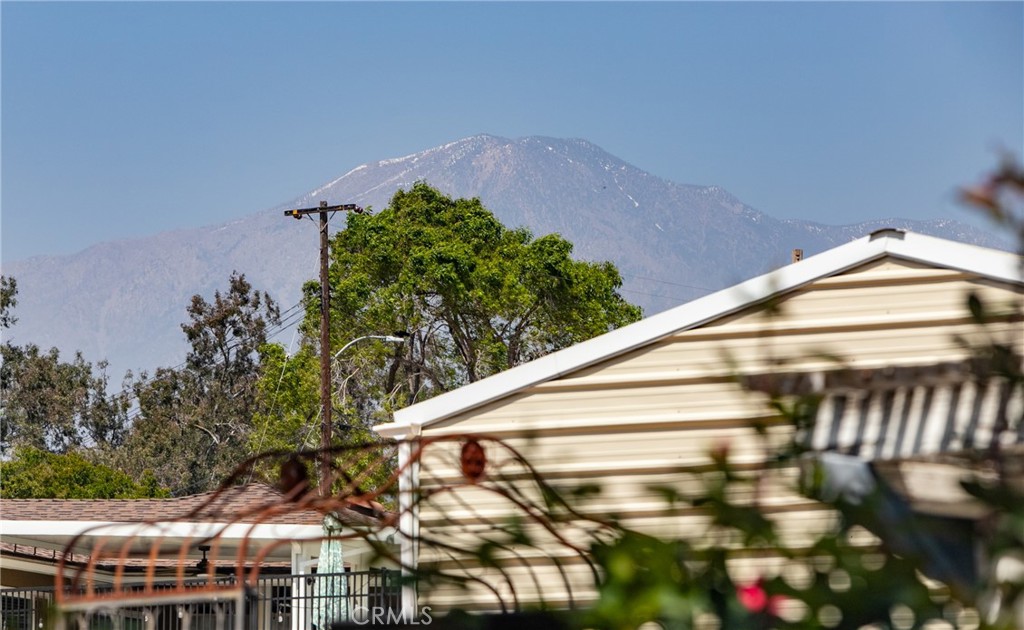 33562 Tahitian Place