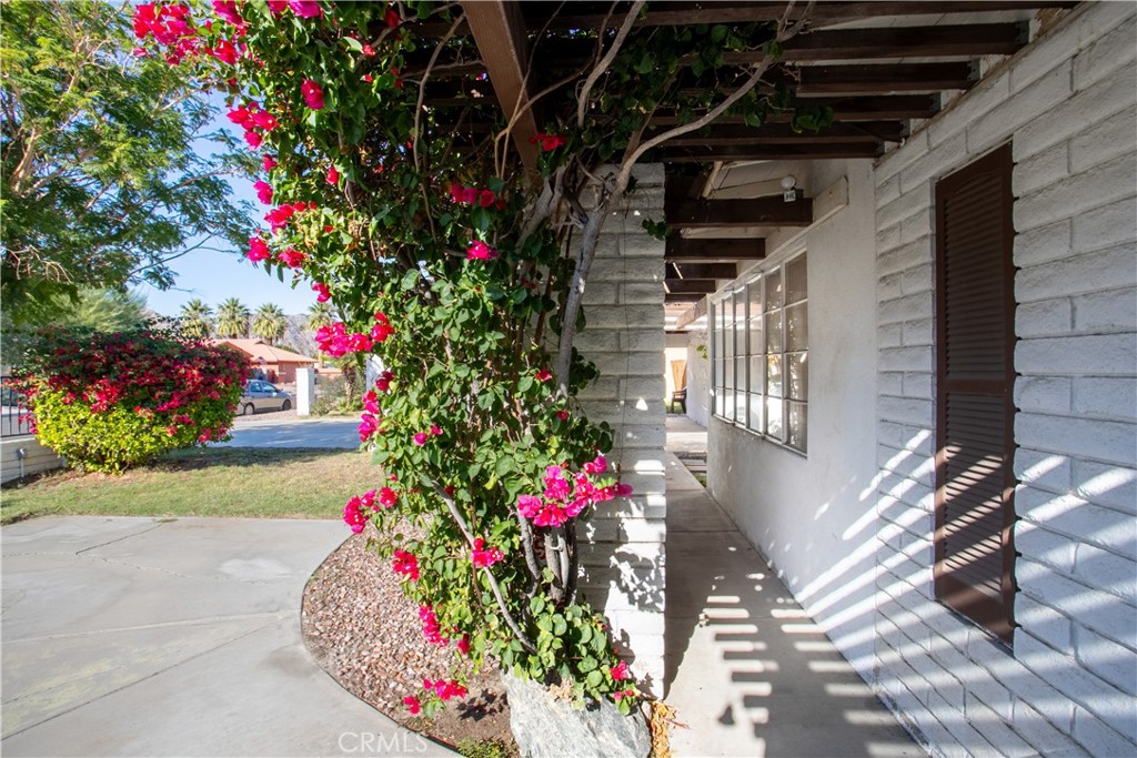 51592 Avenida Navarro