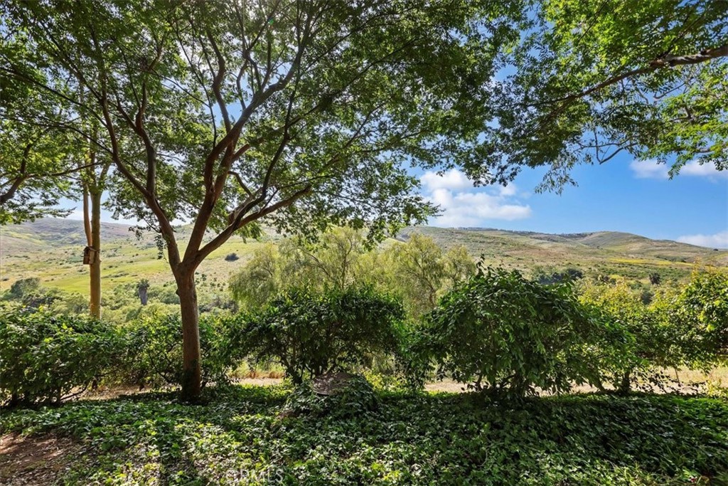 22135 Caminito Laureles 110