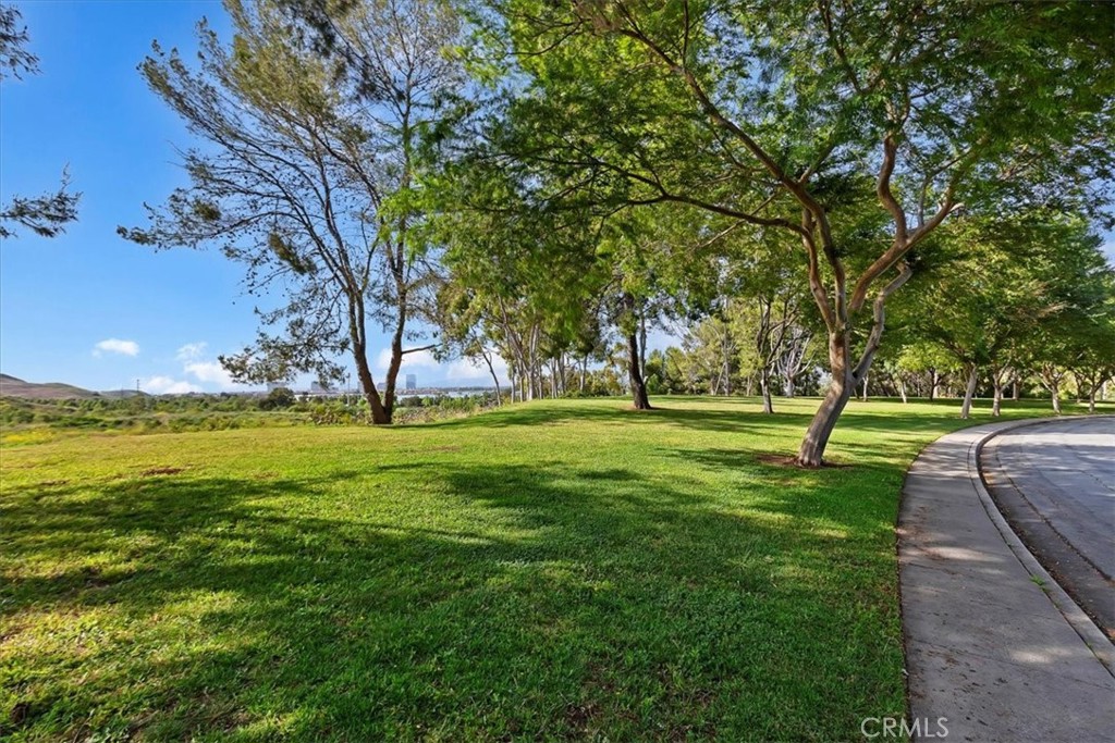 22135 Caminito Laureles 110