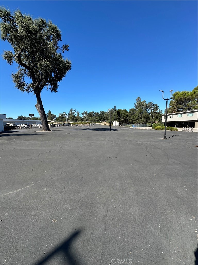 Paved parking lot beside a low commercial building, with a large tree and parking-lot lights.