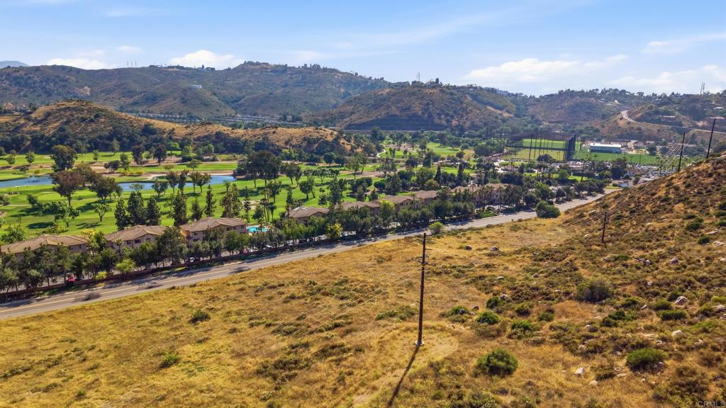 3231 Dehesa Road 40