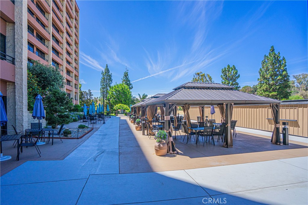 24055 Paseo Del Lago 1106