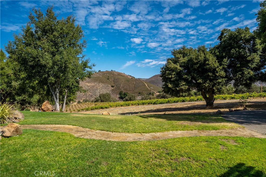 8680 Alamo Creek