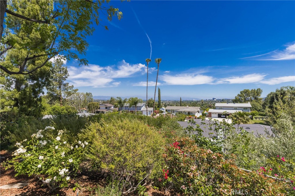 24529 Calvert Street