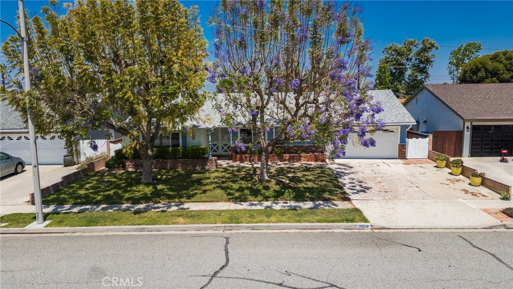 1859 Dorrit Street