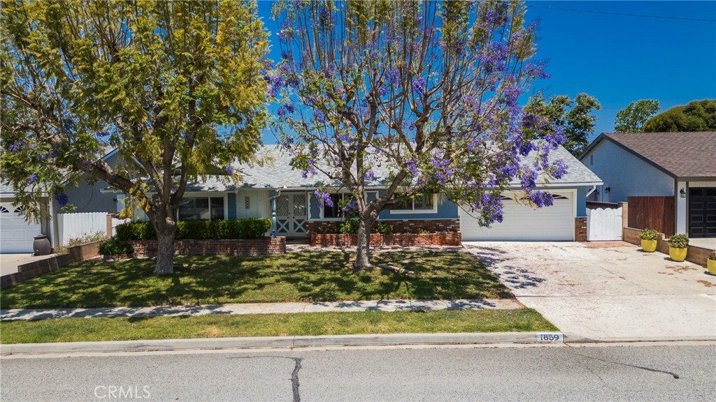 1859 Dorrit Street