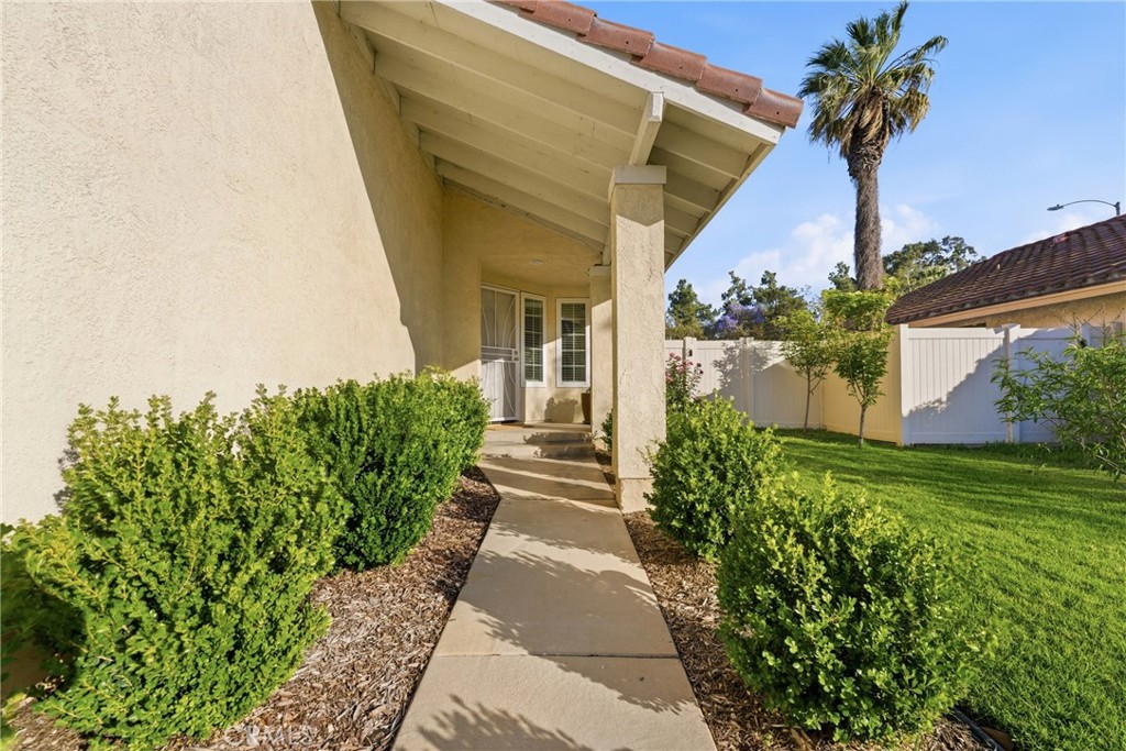2354 Fan Palm