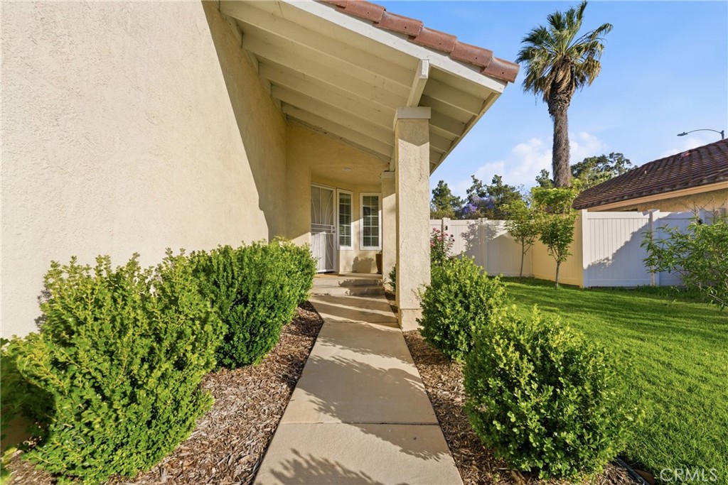 2354 Fan Palm