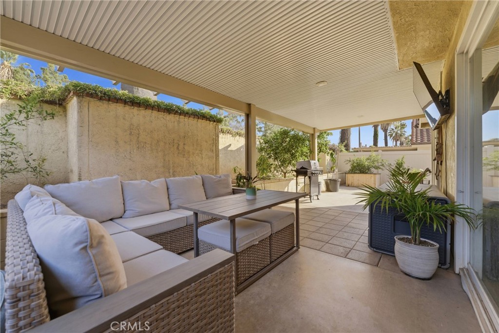 2354 Fan Palm