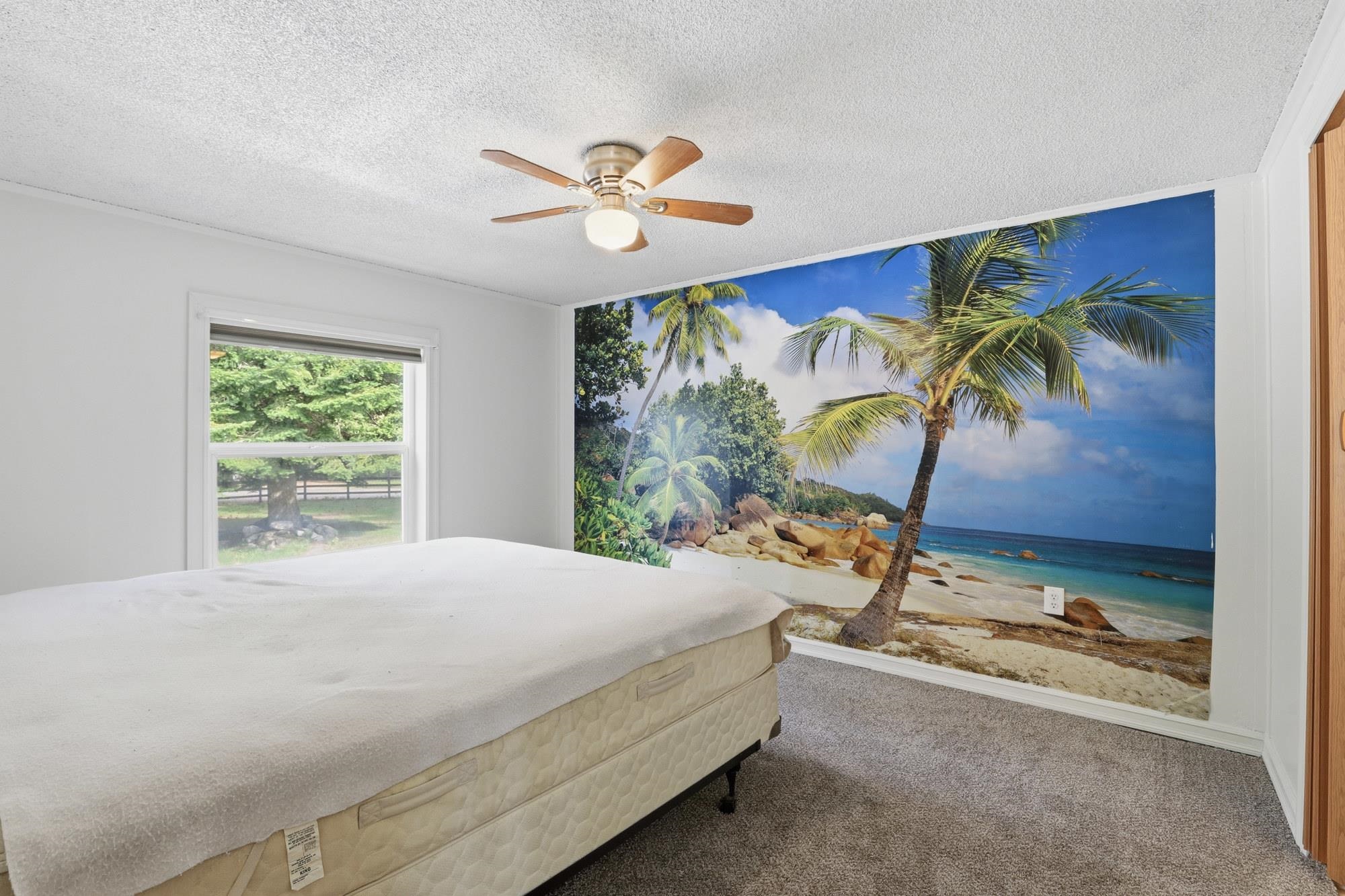 239 Ohana Rd