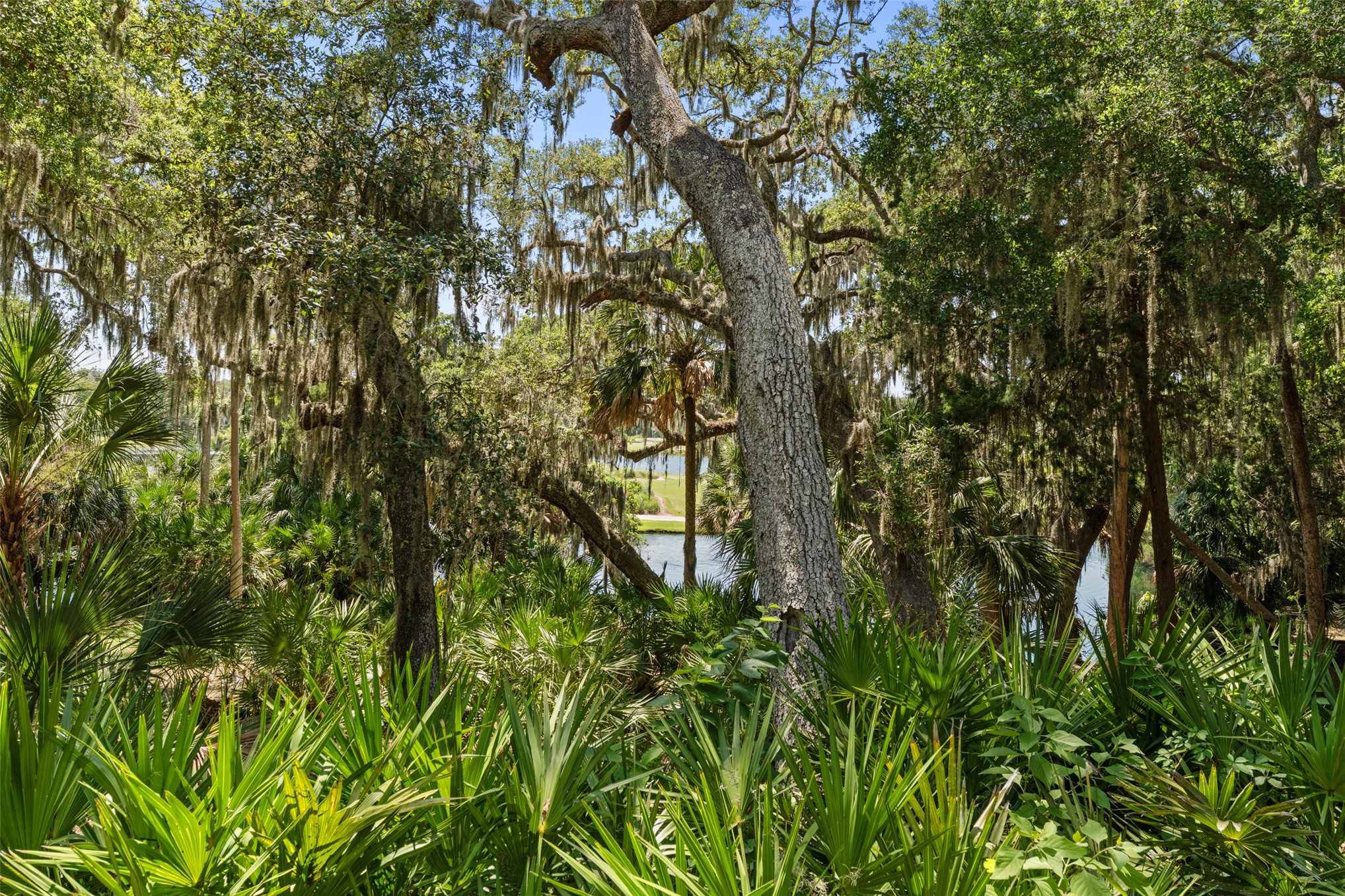 2055 BEACH WOOD ROAD