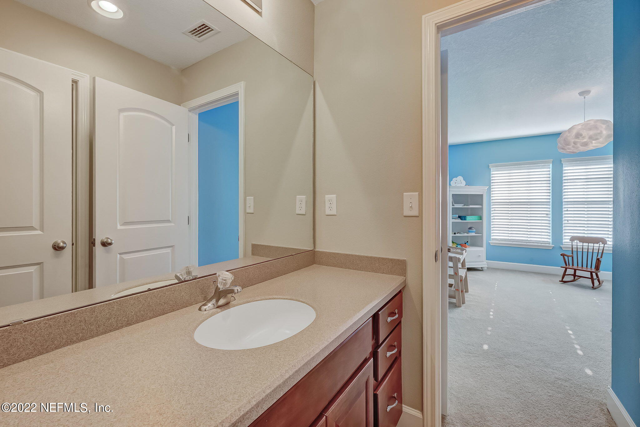14532 AMELIA COVE Drive