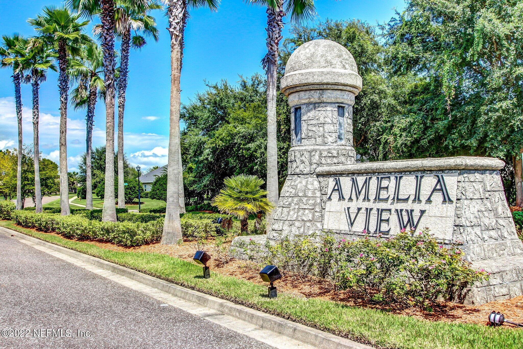 14532 AMELIA COVE Drive