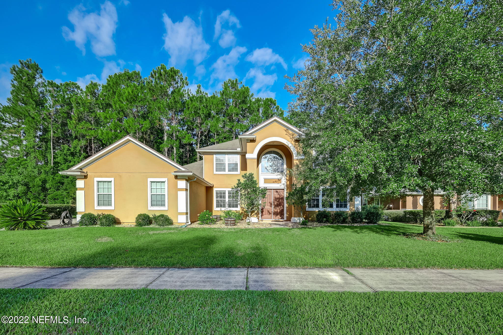 14532 AMELIA COVE Drive