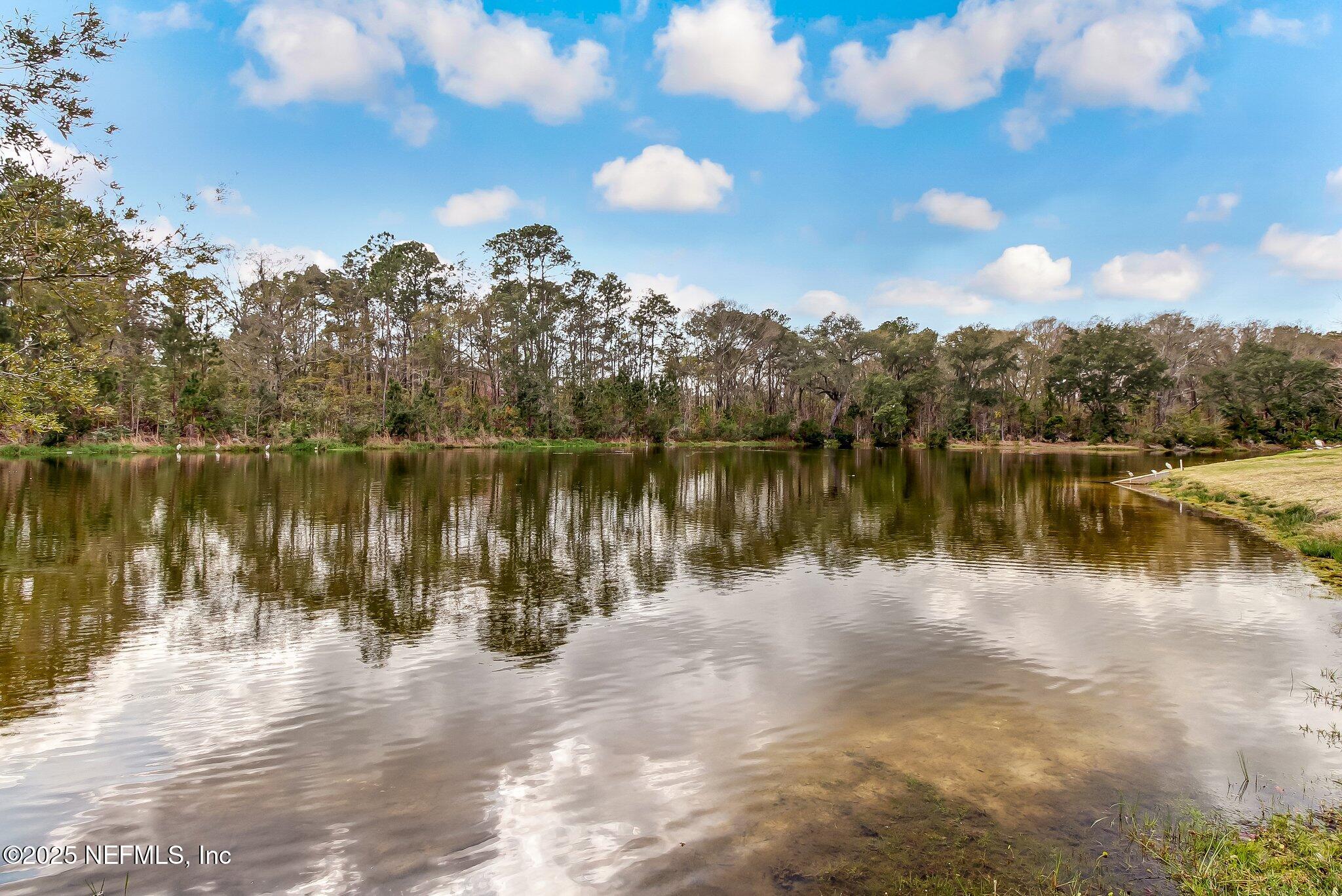 12021 ALEXANDRA Drive