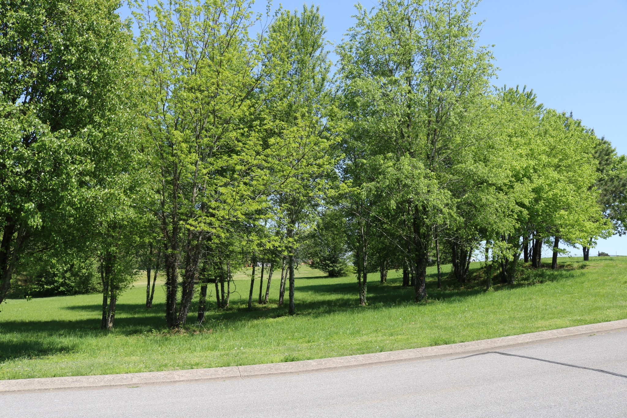 0 Country Club Drive