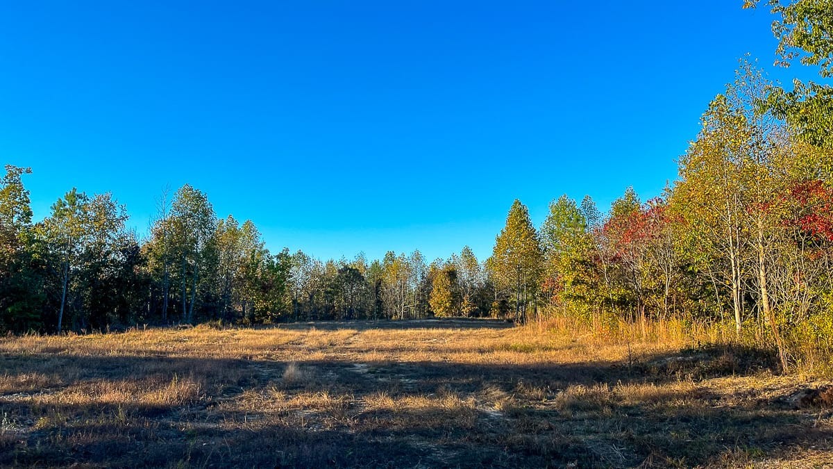 1 Fire Tower Road