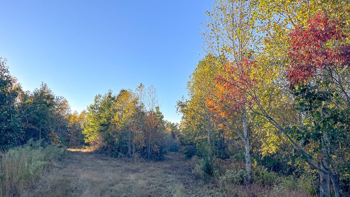 1 Fire Tower Road
