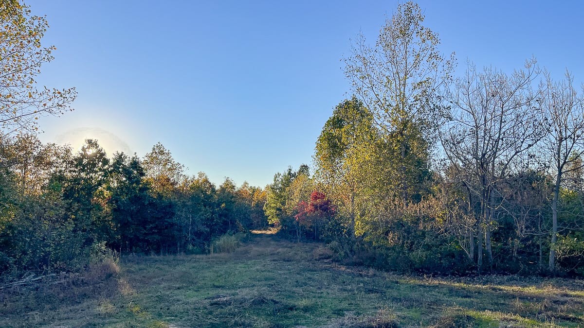 1 Fire Tower Road