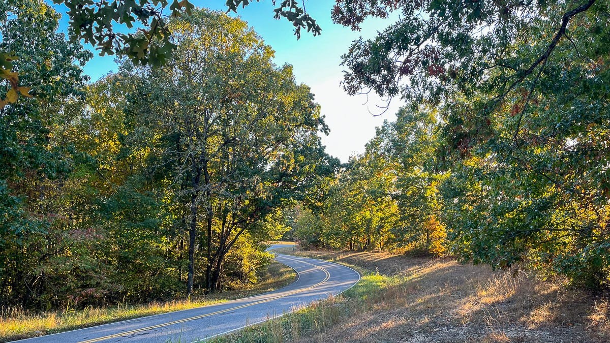 1 Fire Tower Road