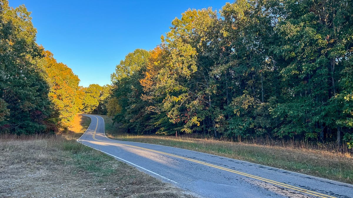 1 Fire Tower Road